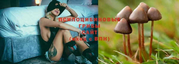 эйфоретик Кодинск