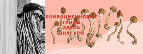 Альфа ПВП Козловка