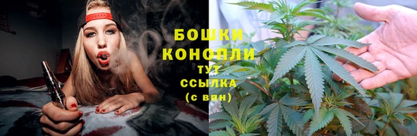 меф Кадников