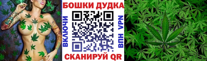 где купить наркоту Кореновск Бошки марихуана сатива